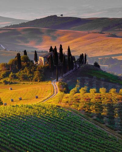 Montalcino Montalcino