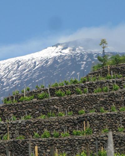 Mt Etna Mt Etna