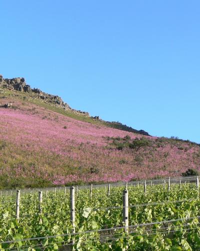Helderberg Helderberg