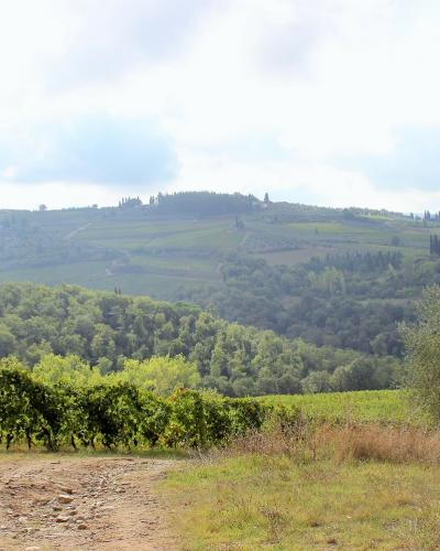Tuscany Ladoucette