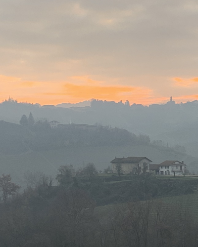 Barolo 2016 Barolo 2016