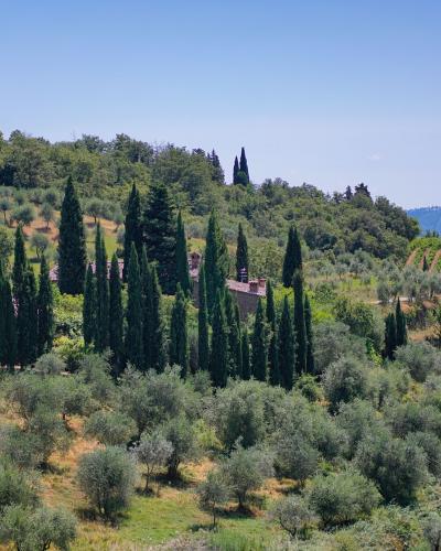 Brunello 2014 Brunello 2014