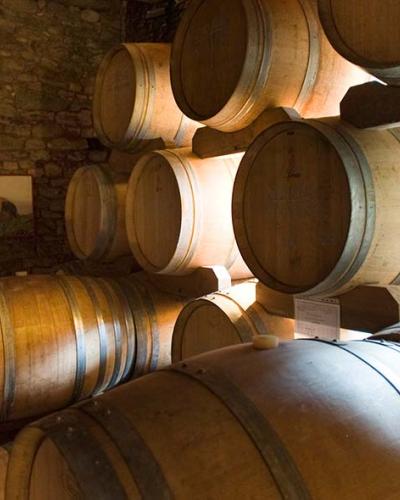 Vietti Vietti
