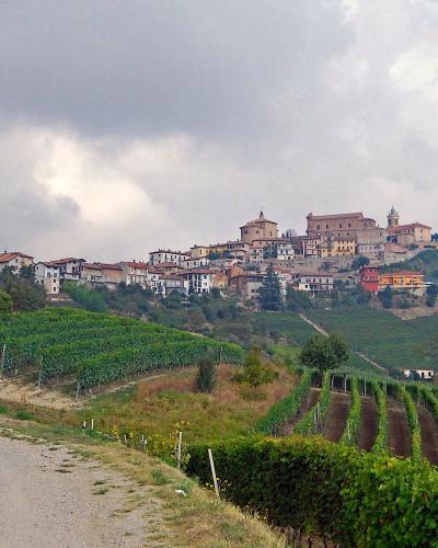 Barolo Barolo