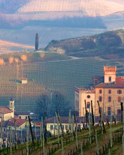 Langhe Langhe