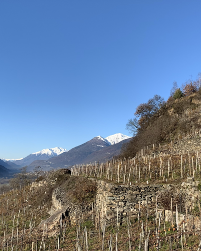 Valtellina Valtellina