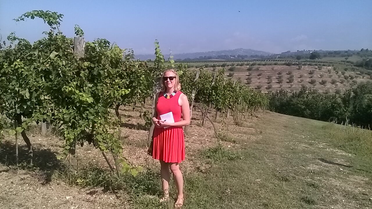 Mastroberardino vineyards