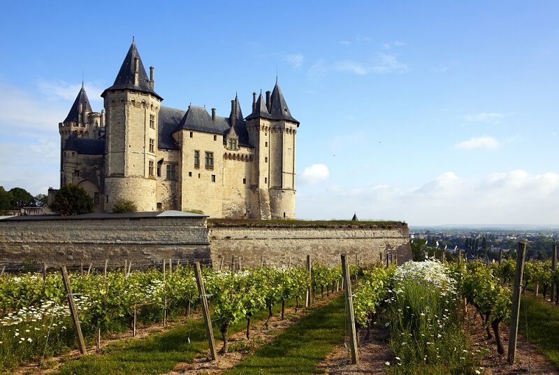 Loire Chateau