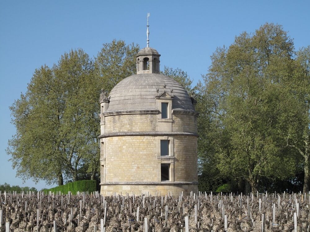 Vineyard Latour