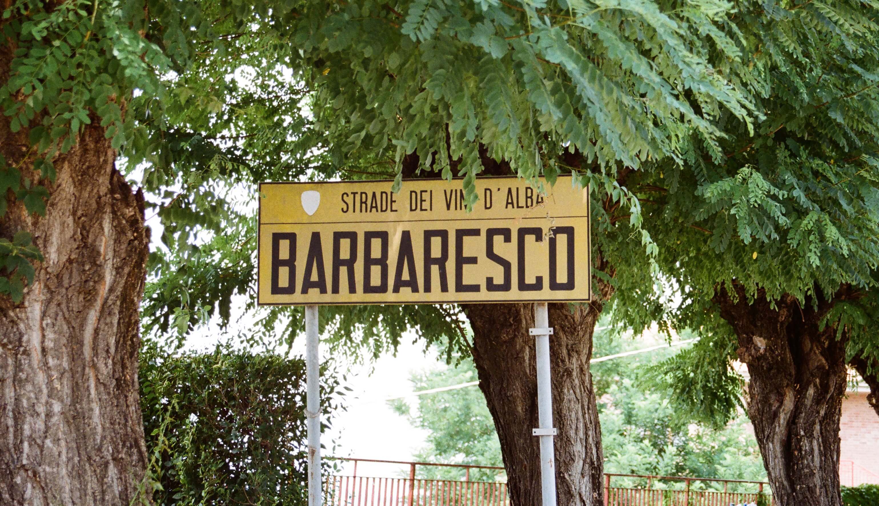 Barbaresco