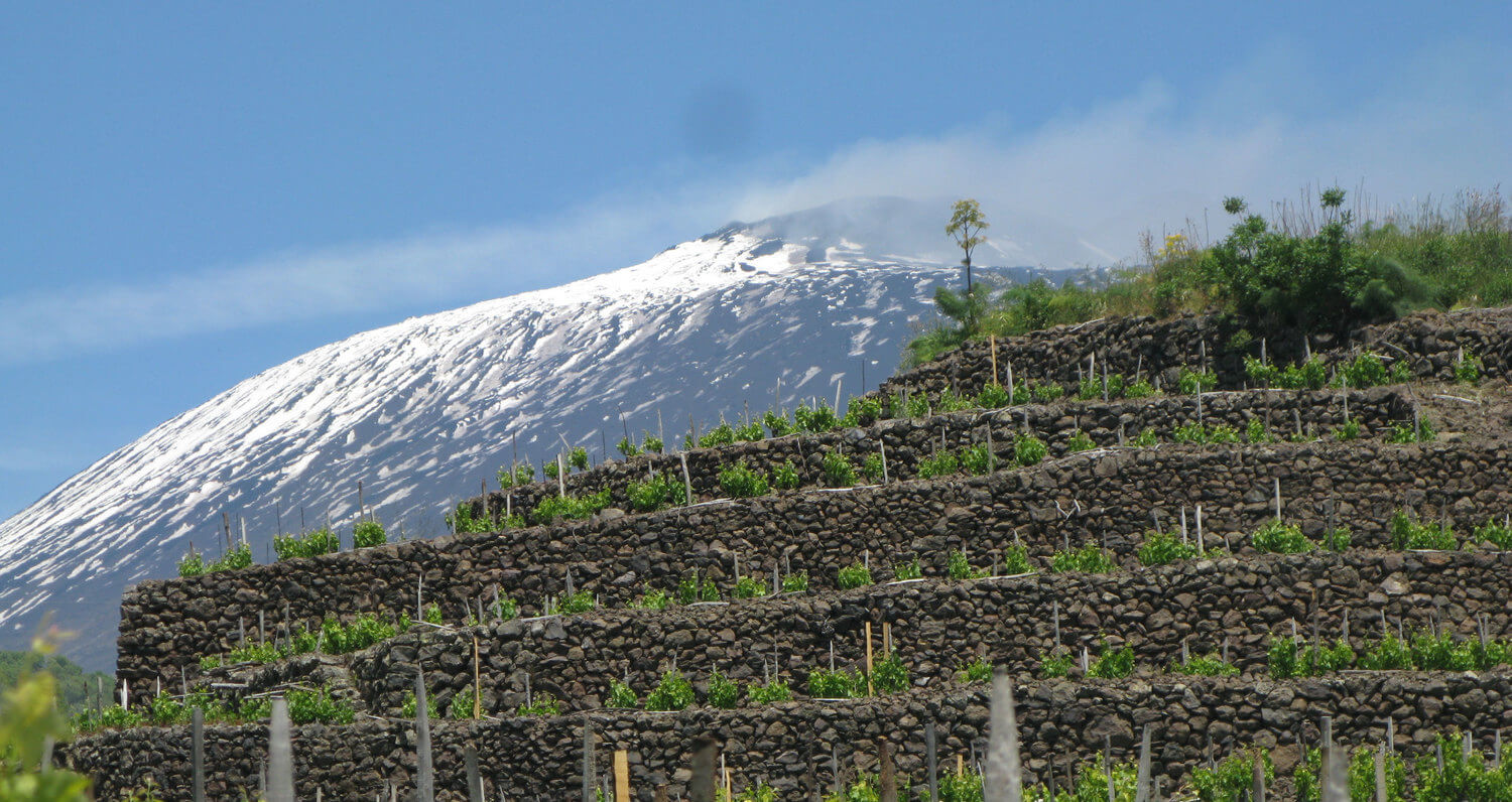 Mt Etna