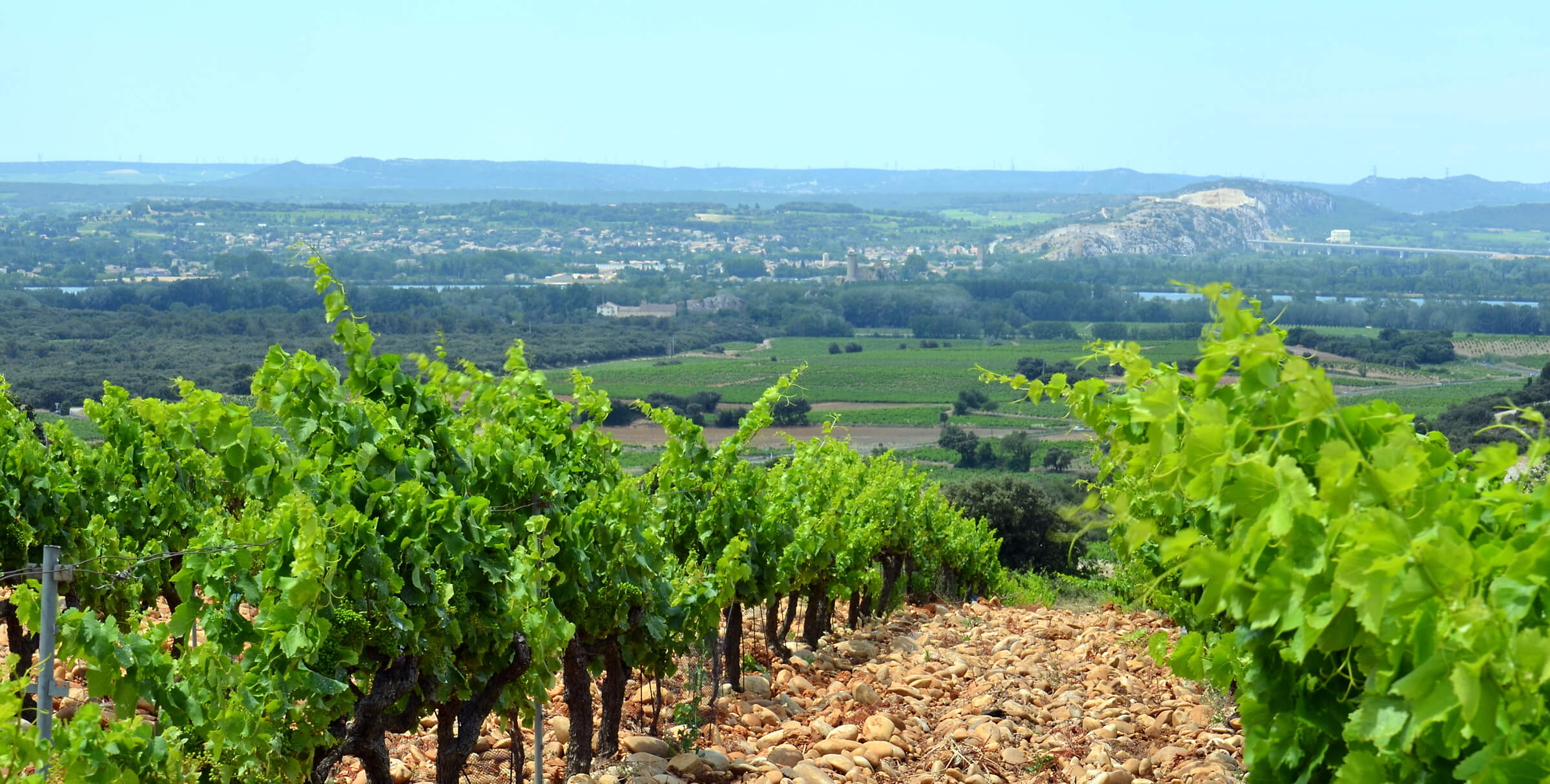 Chateauneuf