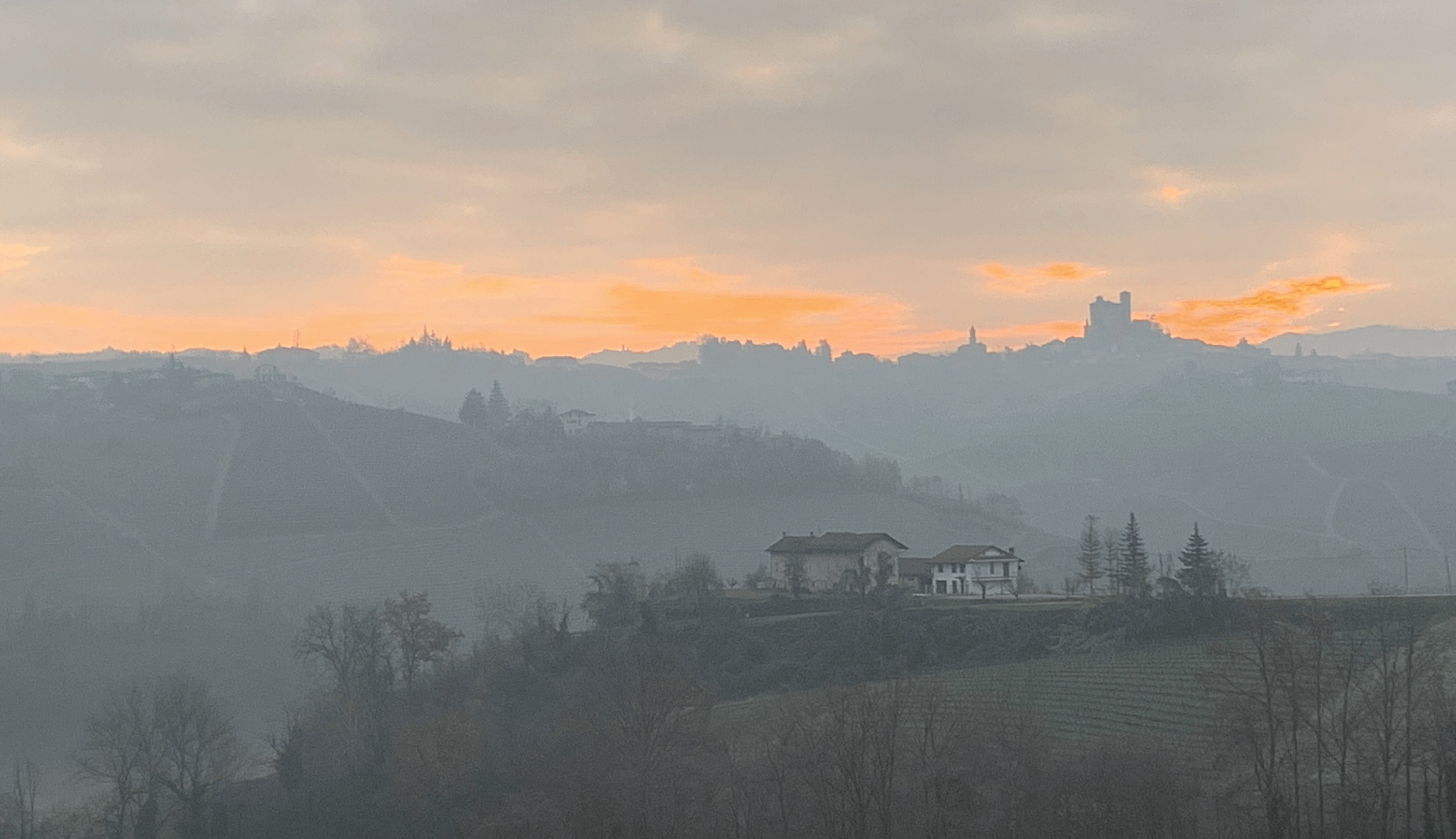 Barolo 2016